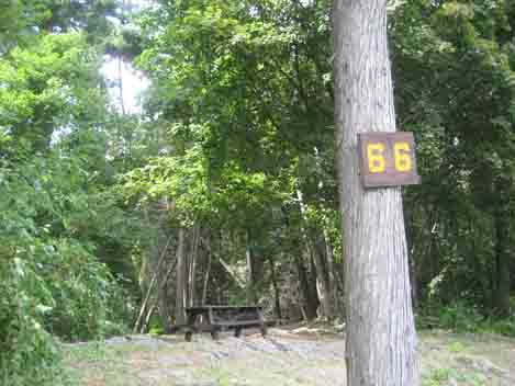 Long Island campsite Number 66