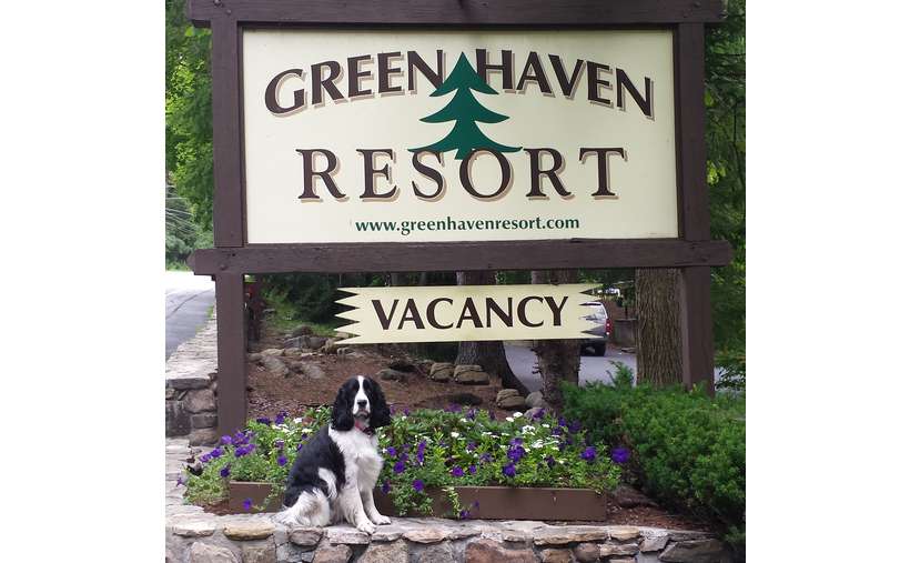 Green Haven Resort Lodging Property Lake Gee Ny Prevnext