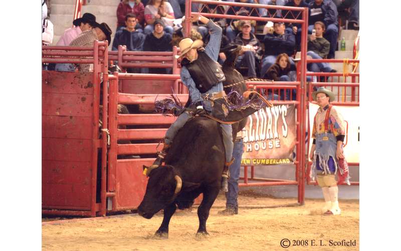 Painted Pony Championship Rodeo in Lake Luzerne, NY A Western Rodeo