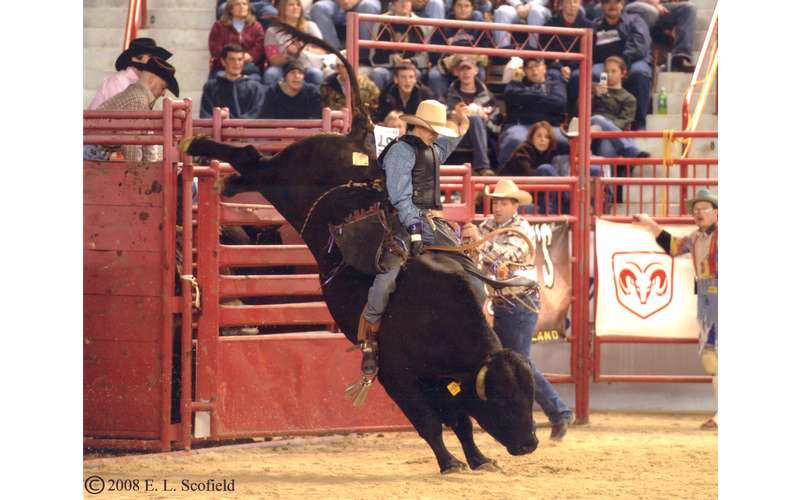 Painted Pony Championship Rodeo in Lake Luzerne, NY A Western Rodeo