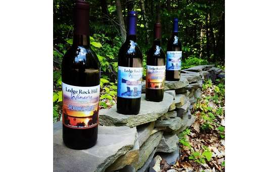 Using all natural ingredients, Ledge Rock Hill produces red and white wines with a powerful varietal character.