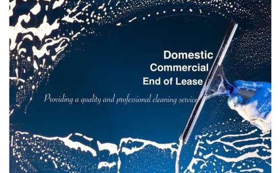 Their services include window washing, floor care, pressure washing, and more.