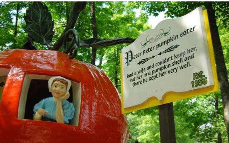 Enchanted Water Safari I Adirondack State Park, Old NY I New York