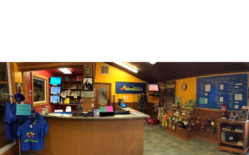 Milton Manor Pet Spa and Resort