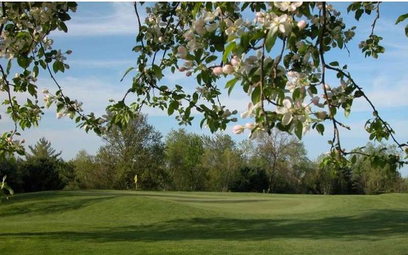 Info & Reviews of Airway Meadows Golf Club