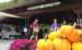 Fall at the market