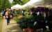 Market day on High Rock Avenue