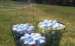 Start off with a few buckets of golf balls.