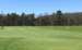 How far will your ball go?