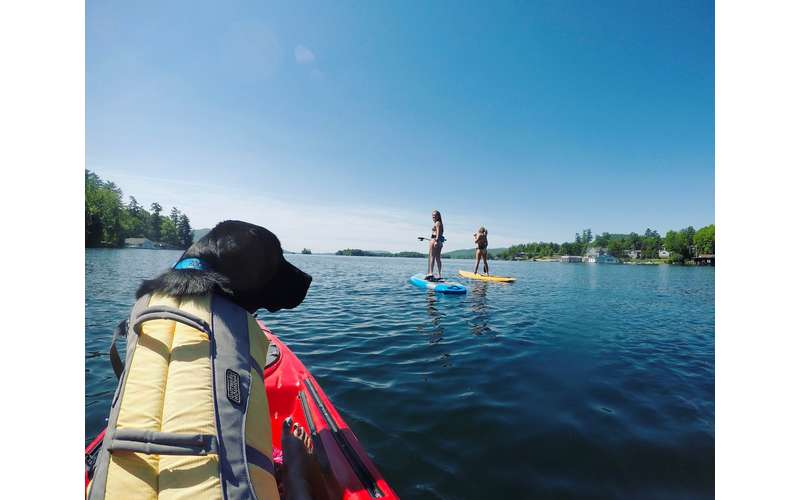 Lake Kayak Company Canoe, Kayak, and SUP Rentals &