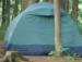 Guided Camping trips
