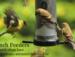 Make Finch Feeding easier with a Quick-clean Anti-microbial feeder