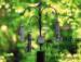 Build the bird feeding station of your dreams