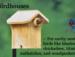 Invite birds to raise a family in your yard!