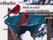Provide water for your birds year-round