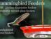 Attract these jewels with an easy-to-clean feeder