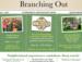 Homeowners Association E-Newsletter and Print.