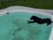 Swim Time