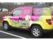 Pet Transportation