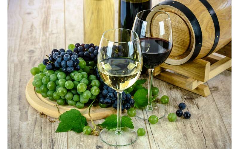 11th Annual Friends of Chester Library Wine Tasting & Auction (1)