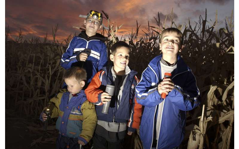 kids in corn maze at night