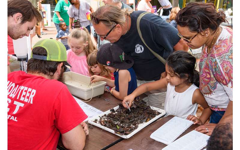 24th Annual Kids' Arts Festival In Schenectady NY Saturday, Jun 2