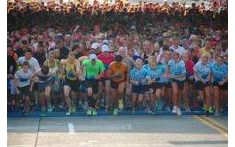 Start line of the race