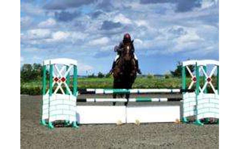 Lake Placid Horse Show (1)