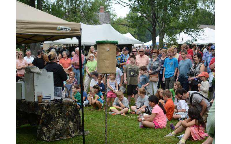 18th Annual Blueberry Festival Sunday, Jul 30, 2017 Lake NY