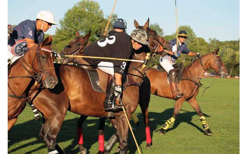 polo players