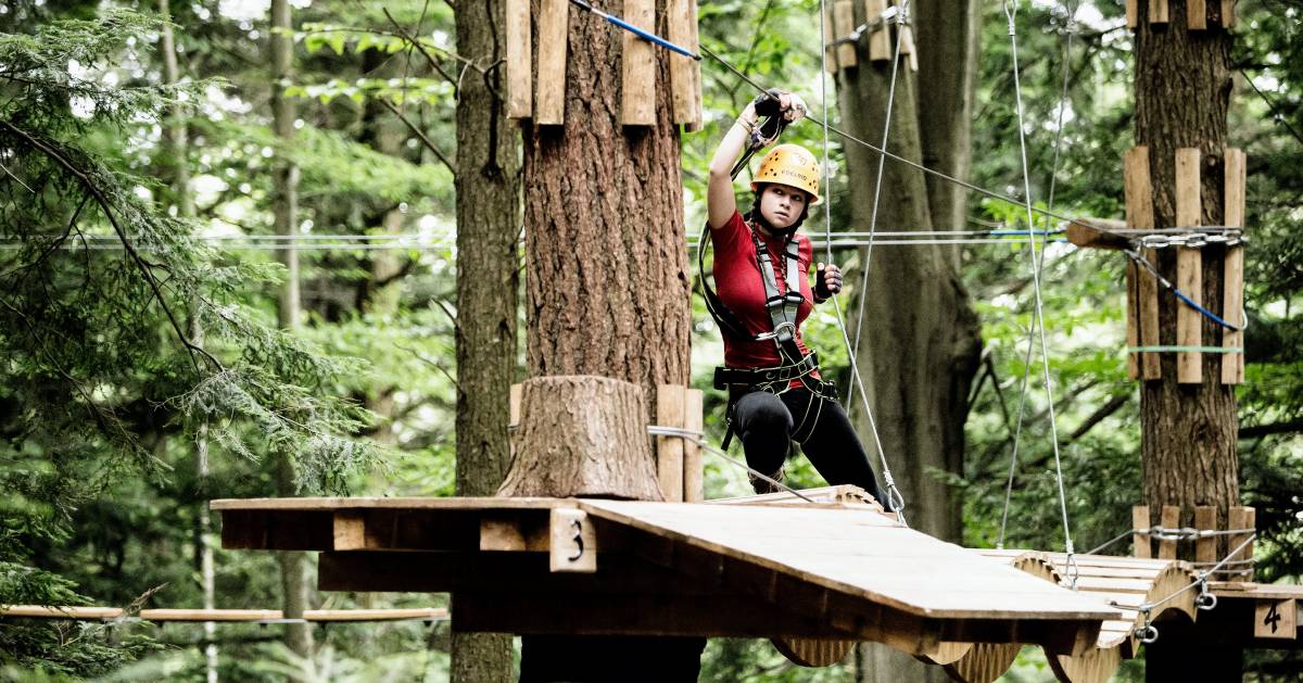 person in aerial treetop course