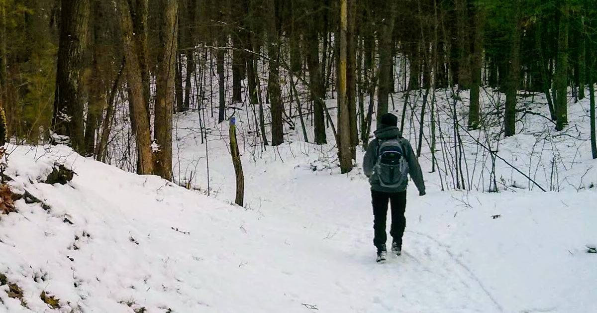 person hiking in woods in winter with backpack