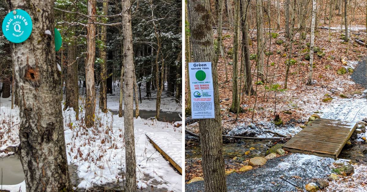 split image with walking trails in woods in winter on each side