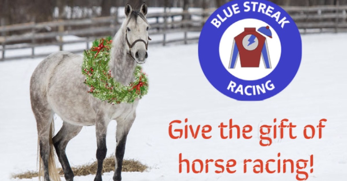 horse photo in winter with a blue streak racing logo and words that say give the gift of horse racing