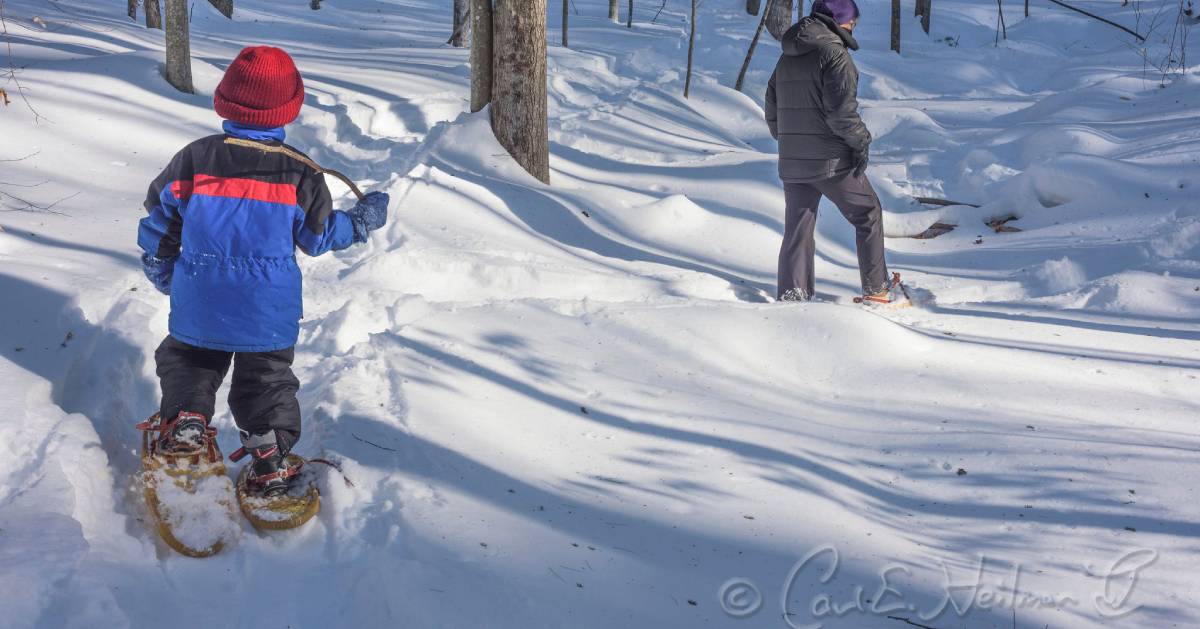 kid and parent snowshoeing in woods