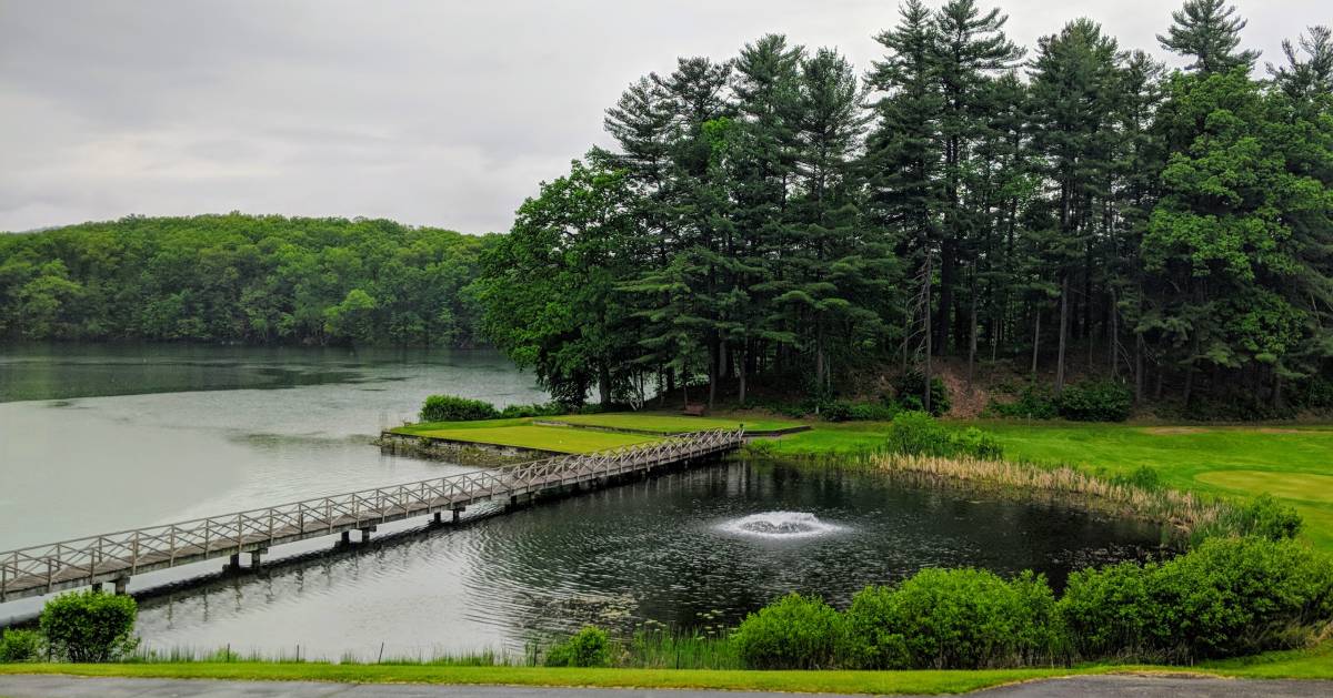 pond on a golf course