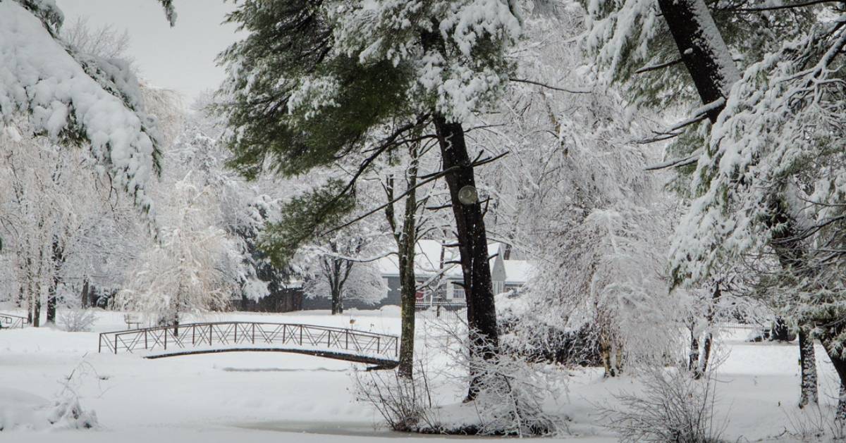 snow-covered park