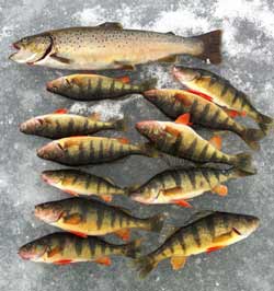 Ice Fishing in the Adirondacks? Get Info on Tips, Methods, Regulations &  More