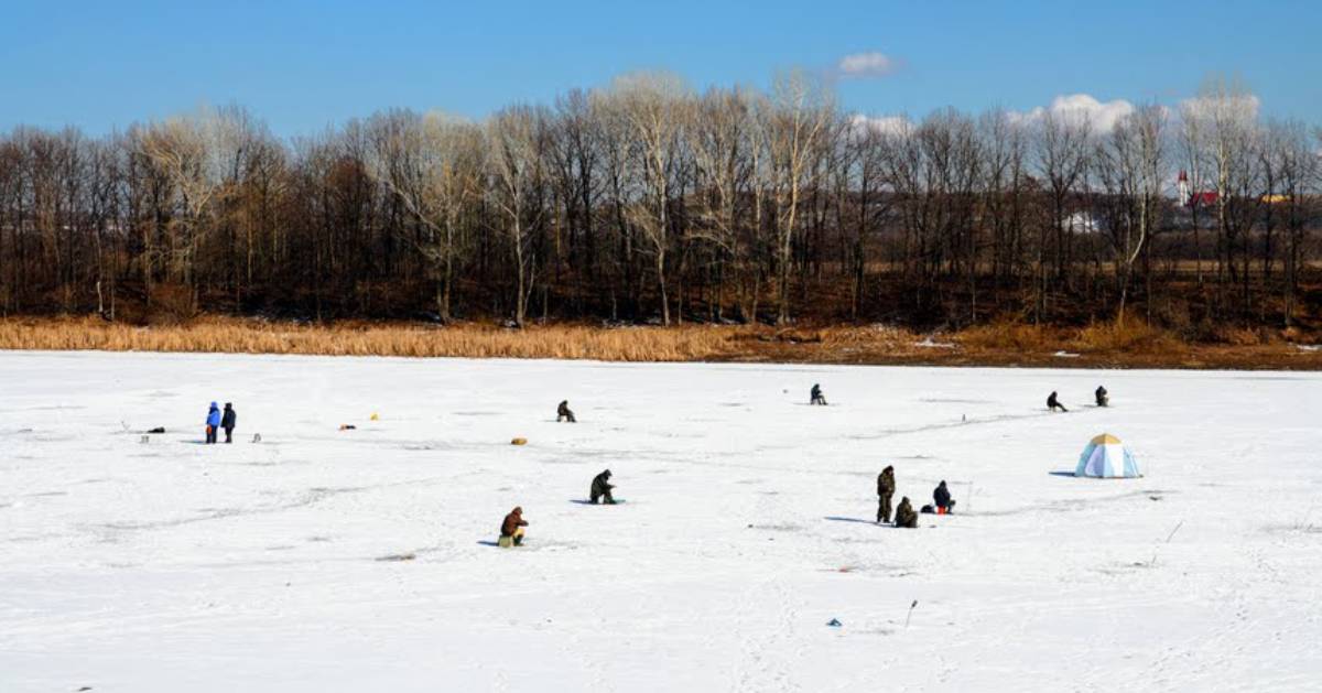 many people ice fishing on a lake