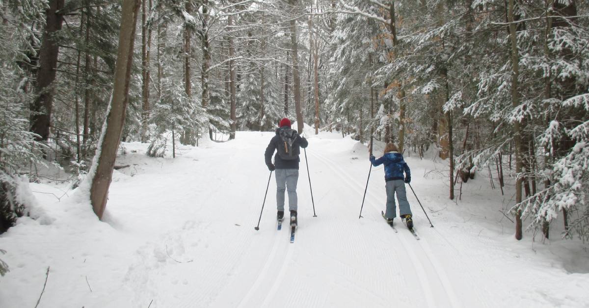 adult and child cross country skiing together on trail