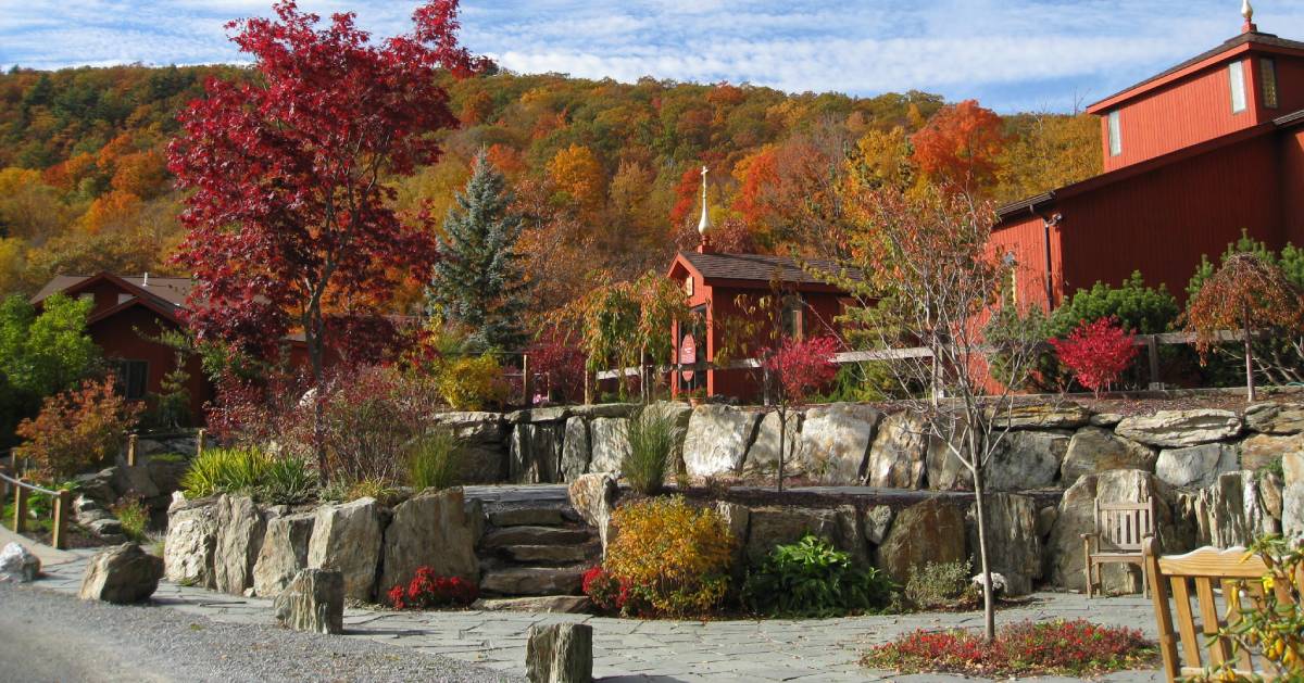 red buildings in wooded area