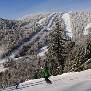 people skiing