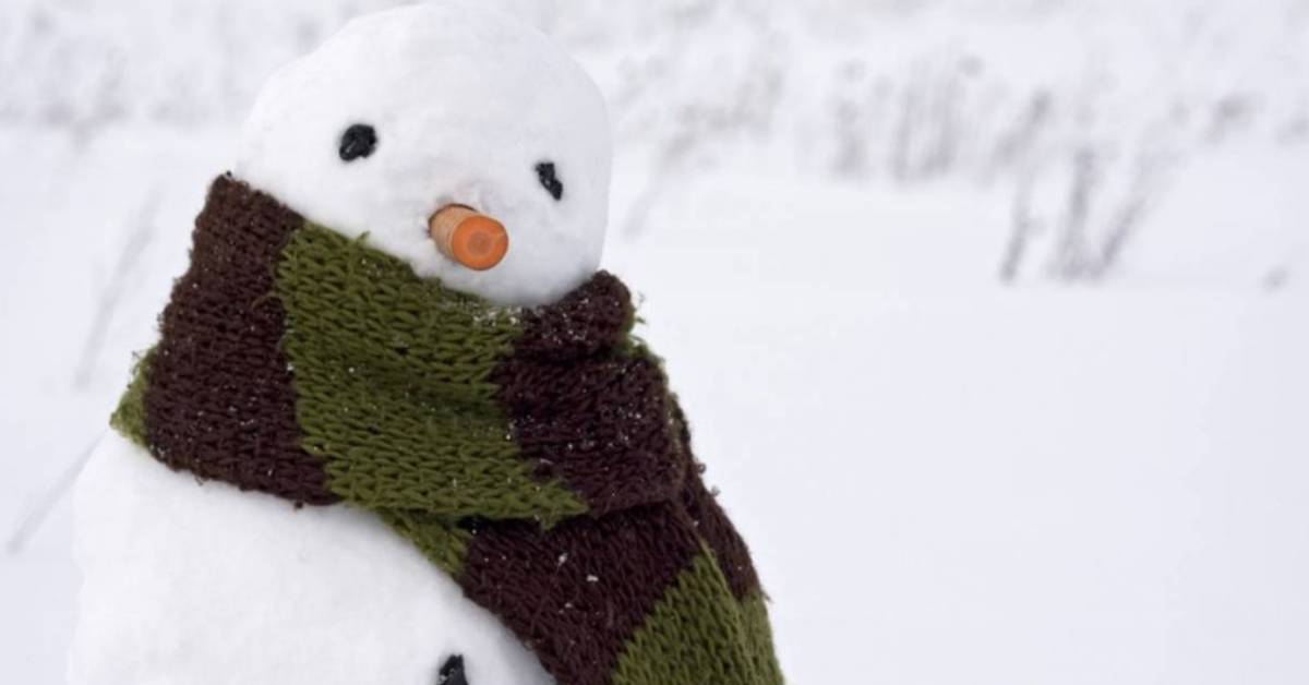 snowman with a carrot nose and scarf