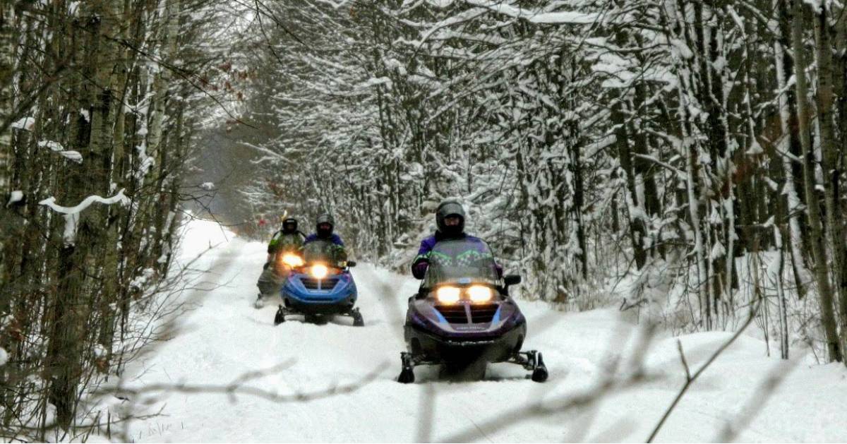 three snowmobilers