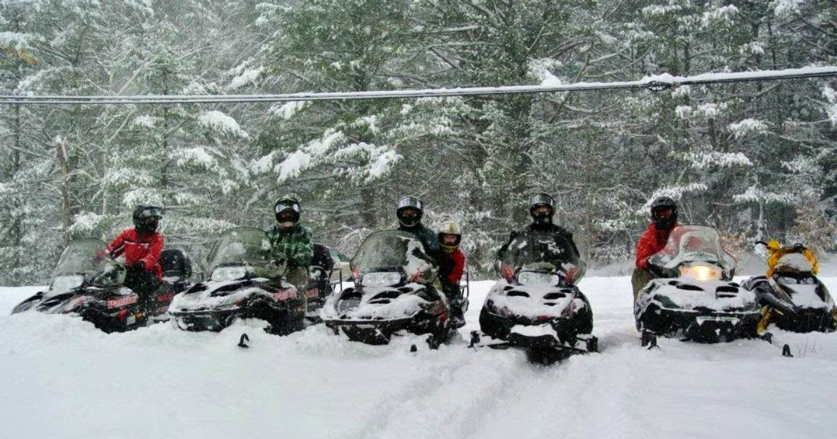snowmobilers in the snow
