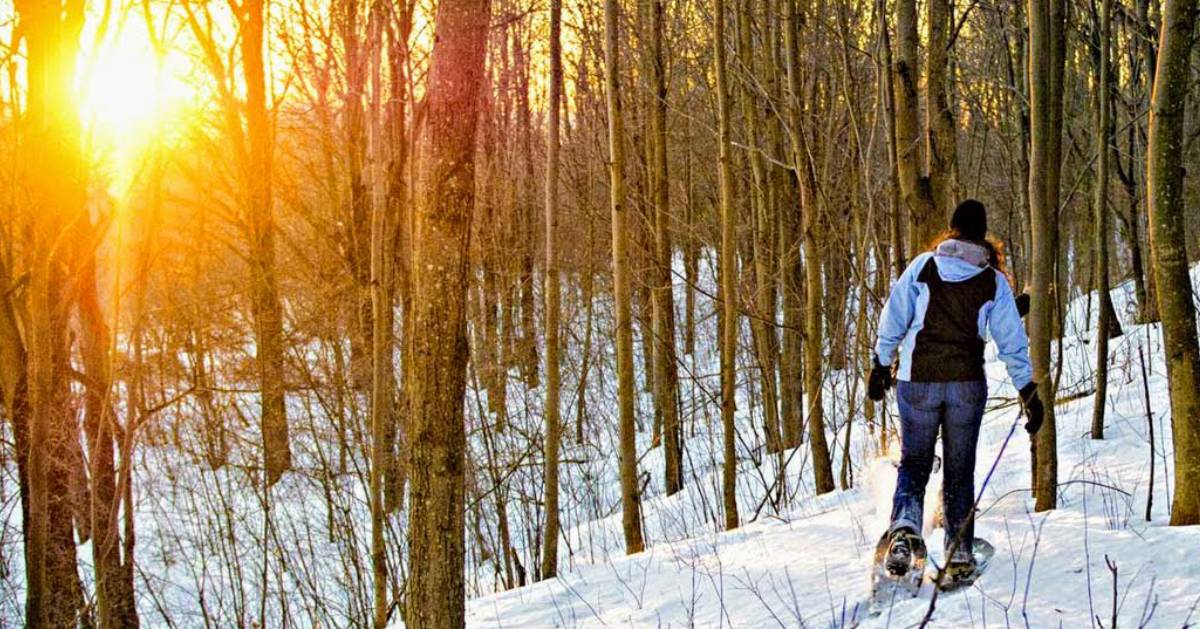 a person snowshoeing in the woods, bright sun