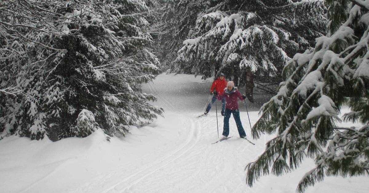 two cross country skiers on a snowy trail