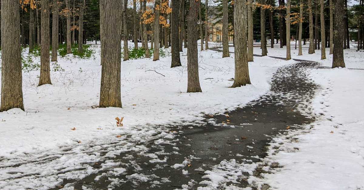 a paved trail with snow on nearby ground