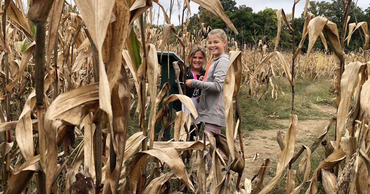 kids in corn field