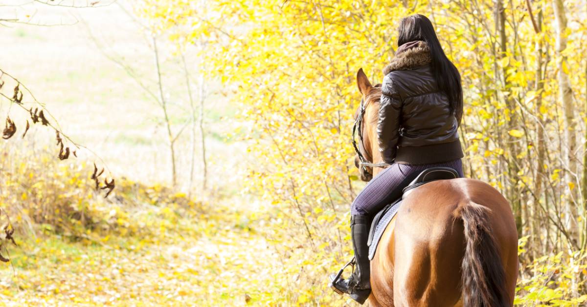 a girl riding on a horse in the fall
